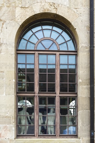 From behind sculptures, male figures, cast collection in the window from the outside, plaster