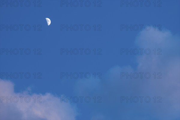 The waxing crescent moon stands bright in a deep blue evening sky with cumulus clouds illuminated