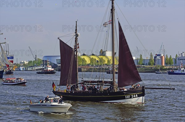 Germany, Hamburg, harbour birthday, parade of departure, historic fishing boat HF 244, Hamburg,