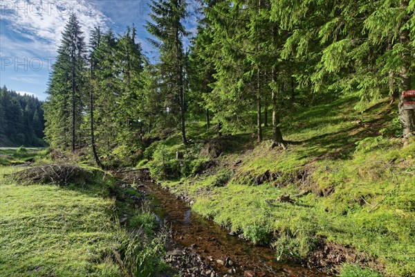 Meadow landscape on the Romanian national road DN75 by the Paraul Vartopu stream. Vartop, Alba