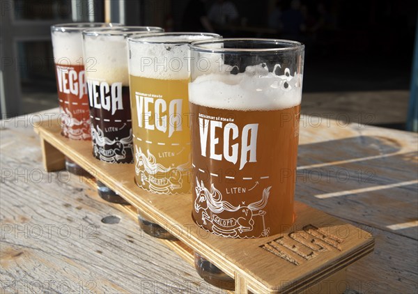 Vega, beer brewed in Gothenburg, Ringön, Gothenburg, Västra Götalands län, Sweden, Europe