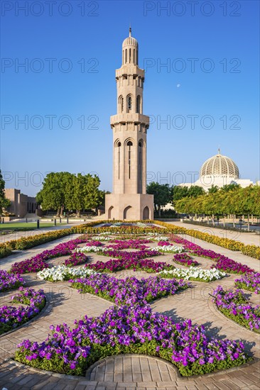 Sultan Qaboos Grand Mosque, minaret with blooming flowers in gardens, Muscat, Oman, Asia
