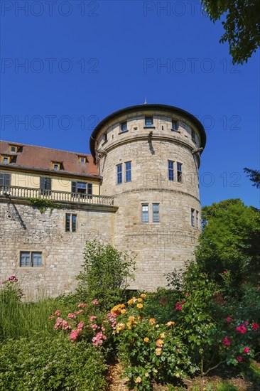 Hohentübingen Palace, tower, masonry, Museum of the University of Tübingen MUT, university