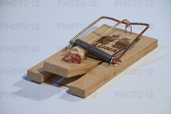 Mousetrap with bacon