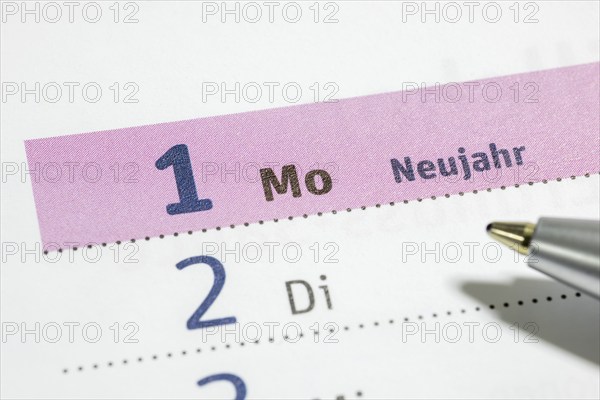 Appointment calendar, New Year, 1 January, Ballpoint pen, Germany, Europe