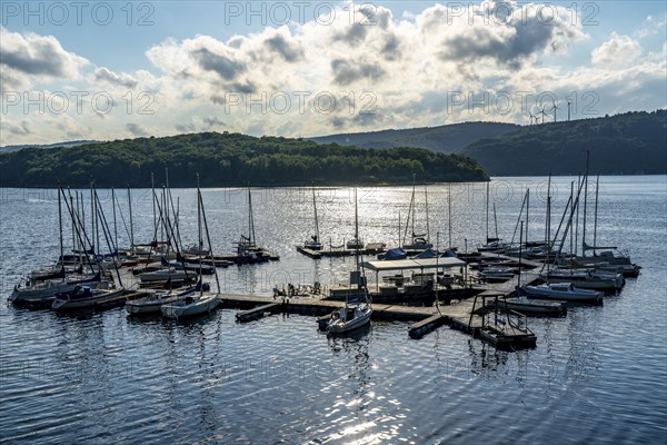 Lake Rursee, reservoir in the Eifel National Park, north-east bank near Heimbach, near the Rur dam