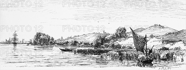 The Oder with Stettin or Szczecin, on the horizon, Poland, river, reed bank, barge, sail, hilly