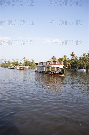 Traditional houseboats on a canal in the canal system of the backwaters, Kerala, India, Asia