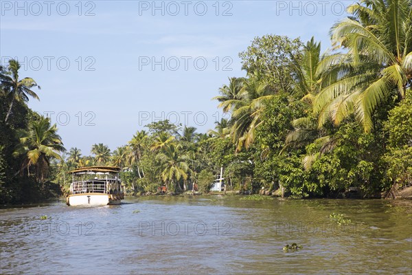 Traditional shikara boat on a canal in the canal system of the backwaters, Kerala, India, Asia