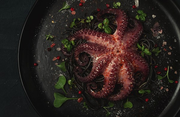 Octopus with black spaghetti, pasta, spices and herbs, top view, no people