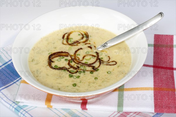 Swabian cuisine, green spelt soup, healthy, vegetarian, regional, soup served in a bowl, home