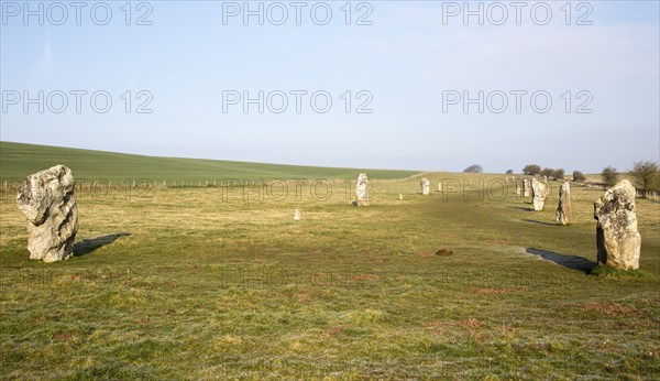 Lines of standing sarsen stones form the Avenue, Avebury World Heritage site, Wiltshire, England,