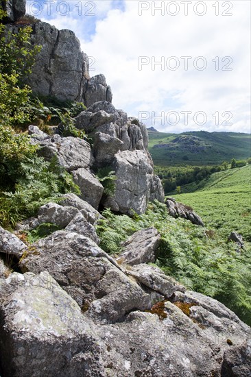 Granite upland landscape Greator Rocks tor, Dartmoor national park, Devon, England, UK