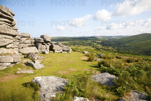 Granite upland landscape at Combestone Tor, near Hexworthy, Dartmoor national park, Devon, England,