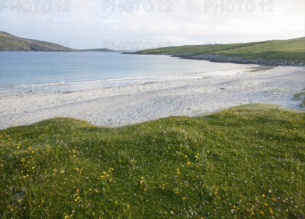 Machair grassland and sandy beach at Bagh a Deas, South Bay, Vatersay island, Barra, Outer