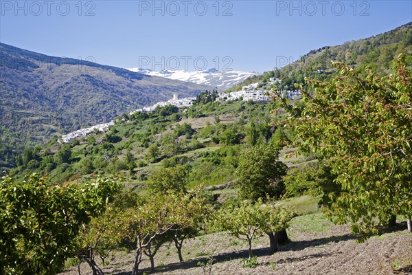 Village of Capileira in the River Rio Poqueira gorge valley, High Alpujarras, Sierra Nevada,