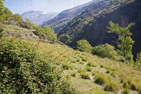 Landscape of the River Rio Poqueira gorge valley, High Alpujarras, Sierra Nevada, Granada Province,