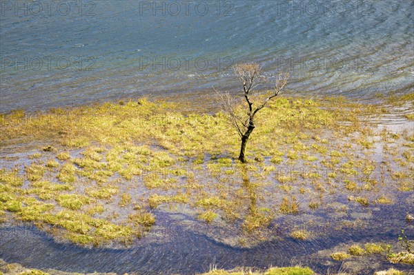 High water level flooding land, Lake Buttermere, Lake District national park, Cumbria, England, UK