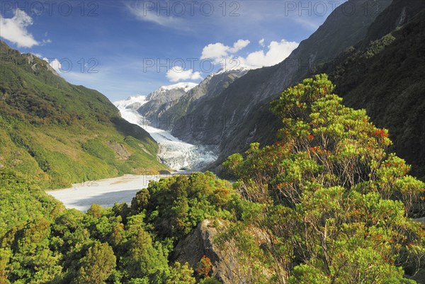View from Sentinel Rock to Franz Josef Glacier, Westland National Park, South West New Zealand