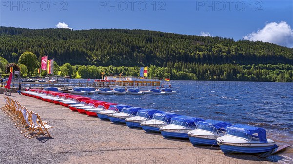 Landscape, nature, lake, Titisee, boats, boat hire, Black Forest, Germany, Europe
