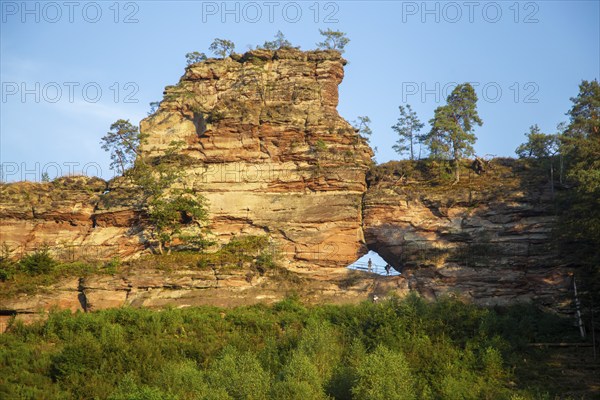 Büttelsfelsen Dahn natural monument in the evening sun. The striking rock massif is a red sandstone