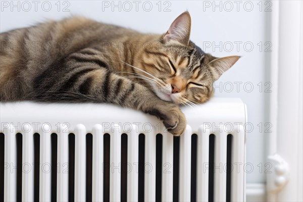Cat sleeping on heating radiator. KI generiert, generiert, AI generated