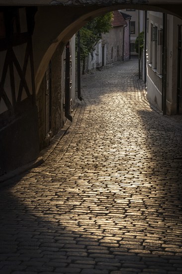 Cobblestones in the evening light, houses, old town, Hanseatic city Visby, island Gotland, Sweden,