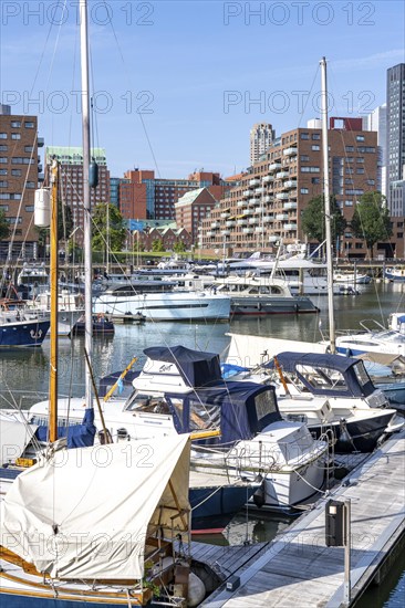 Rotterdam Marina, behind residential high-rise buildings at Spoorweghaven, pleasure craft harbour,