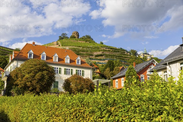 Weingut am Goldenen Wagen. The Spitzhaus is a former summer residence in the Saxon town of Radebeul