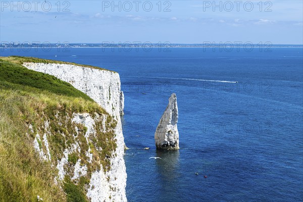 White Cliffs of Old Harry Rocks Jurassic Coast, Dorset Coast, Poole, England, United Kingdom,