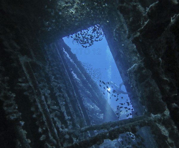 School of fish and divers in the wreck of the Carnatic, Red Sea, Egypt, Africa