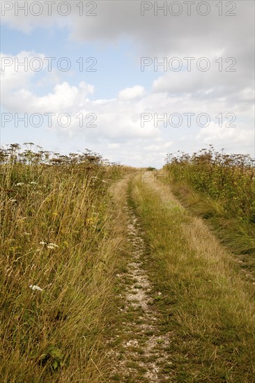 Uphill section of the ancient Ridgeway pathway crossing chalk downland near Liddington Castle,