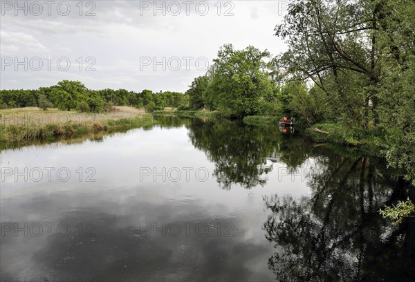 Unregulated natural course of the Spree, Mönchwinkel, 16 05 2023