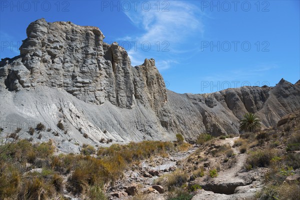 Barren desert landscape with rugged rocks, flowering vegetation and a bright blue sky, Oasis de