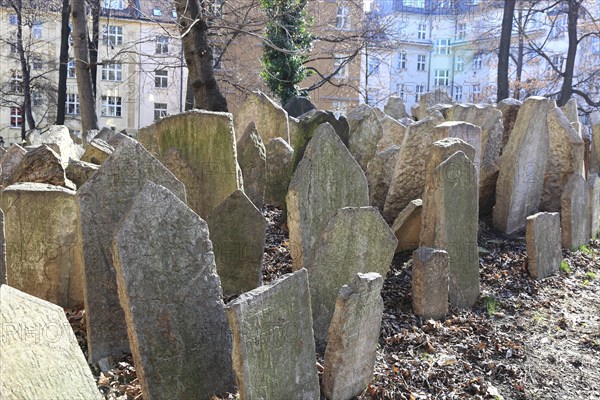 The Old Jewish Cemetery in the Josefov district is one of the most historically significant Jewish