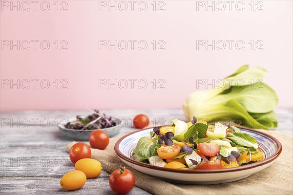 Vegetarian salad of pac choi cabbage, kiwi, tomatoes, kumquat, microgreen sprouts on gray and pink