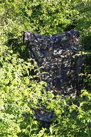 Nature photographer in camouflage at work, camouflage net in a dense bush surrounded by green