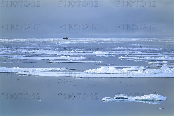 Ship traveling at the horizon at Arctic Ocean among melting ice floes in low light at a summer