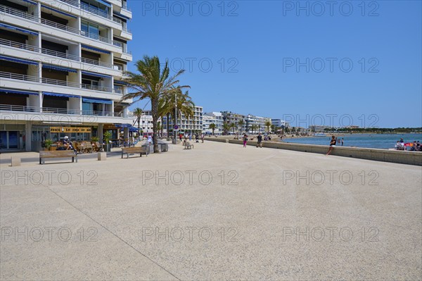 A sunny seafront promenade with people, palm trees and modern buildings along the coast, Le
