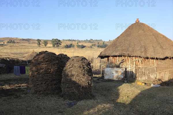 Europia district, small farm and two piles of cow dung, Ethiopia, Africa