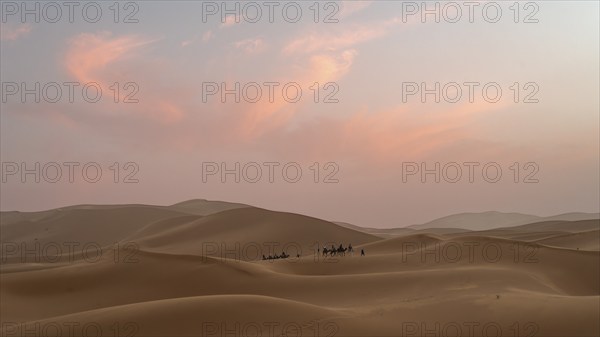 Sunset in the desert, camels and tourists, dunes, Erg Chebbi, Sahara, Merzouga, Morocco, Africa