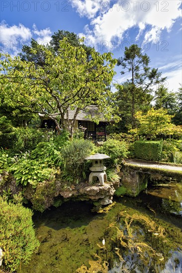 Japanese garden with stone lantern, Irish National Stud and Gardens, The Irish National Stud &