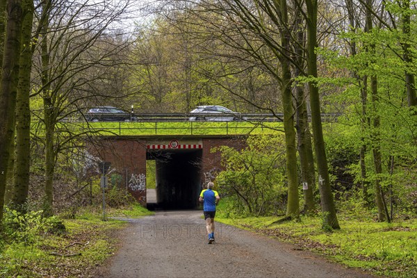 The Sterkrader Wald in Oberhausen, at the Oberhausen motorway junction, where the A2/A3A/A516 meet,