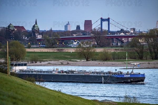 Cargo ship on the Rhine near Duisburg-Beeckerwerth, skyline of the city centre, with town hall,