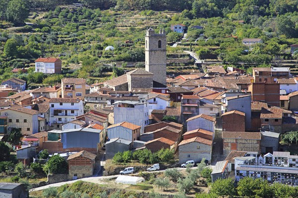 Looking down on rooftops of nucleated village Garganta la Olla, La Vera, Extremadura, Spain, Europe