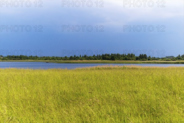 Rural landscape with lake and group of trees on the other side