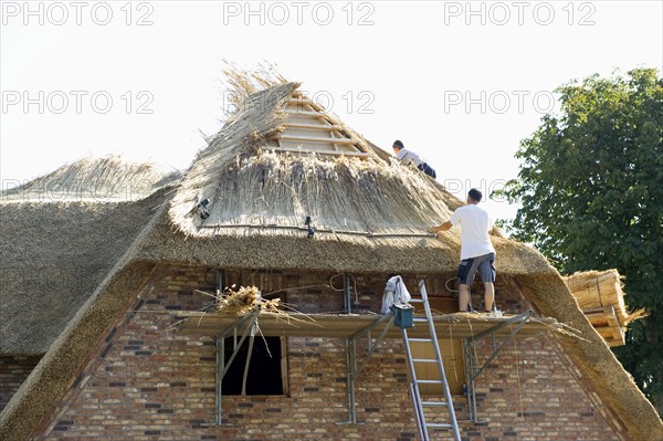 Roofer covering a thatched roof, Föhr, North Frisian Islands, North Frisia, Schleswig-Holstein,