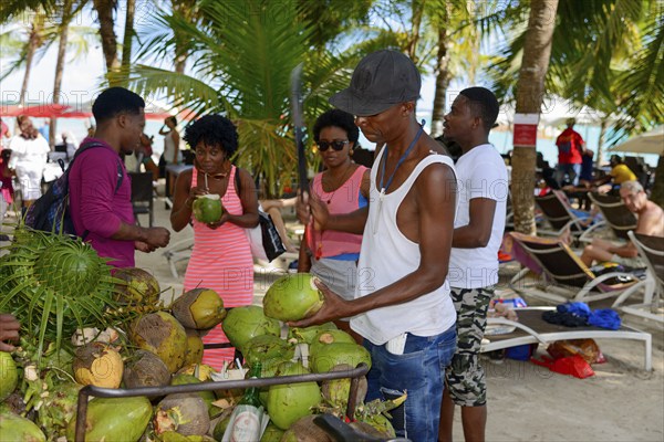People buying fresh coconuts on a busy beach under palm trees, Boca Chica, Santo Domingo Province,