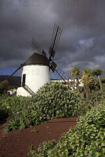 Windmill and garden at Centro de Artesania Molinos de Antigua, Fuerteventura, Canary Islands,