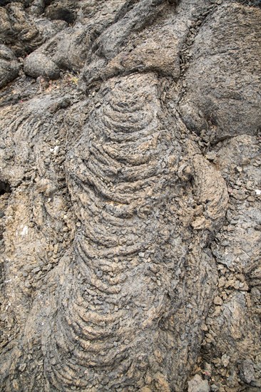 Solidified pahoehoe or ropey lava field, Tahiche, Lanzarote, Canary Islands, Spain, Europe